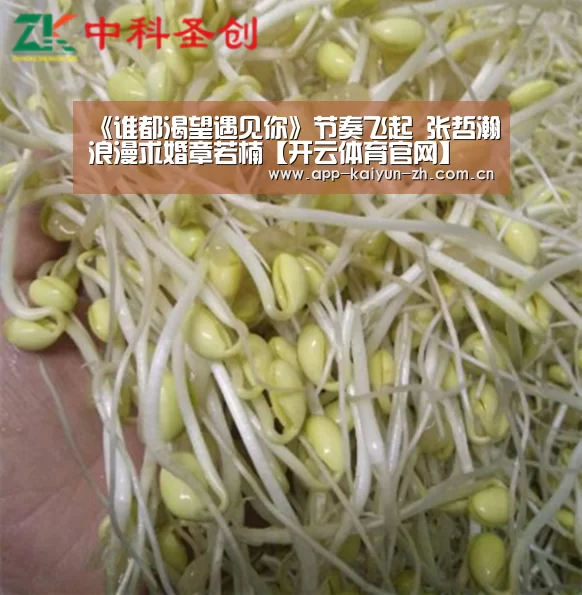 《谁都渴望遇见你》节奏飞起 张哲瀚浪漫求婚章若楠【开云体育官网】(图4) 开云体育官网