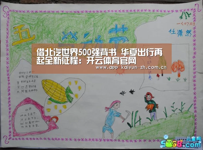 开云体育官网