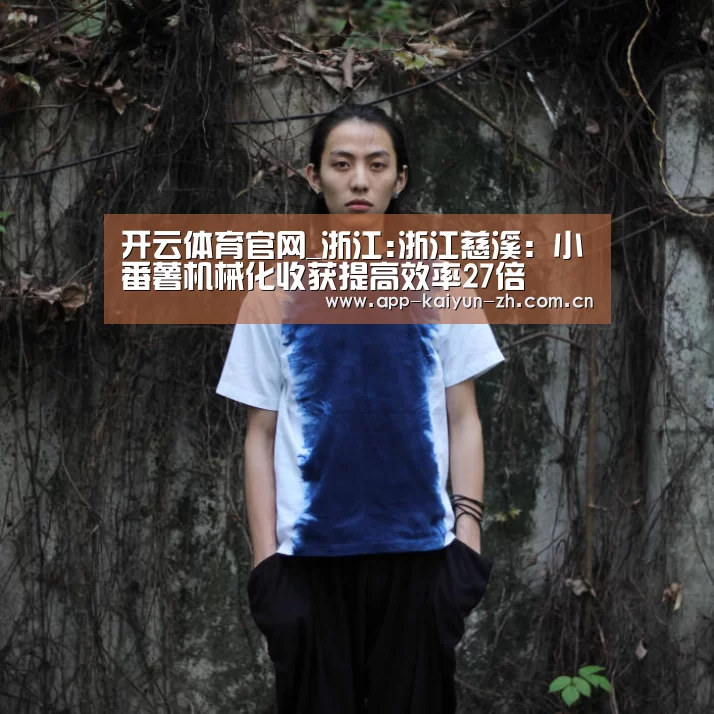 开云体育官网_浙江:浙江慈溪:小番薯机械化收获提高效率27倍(图2) 开云体育官方