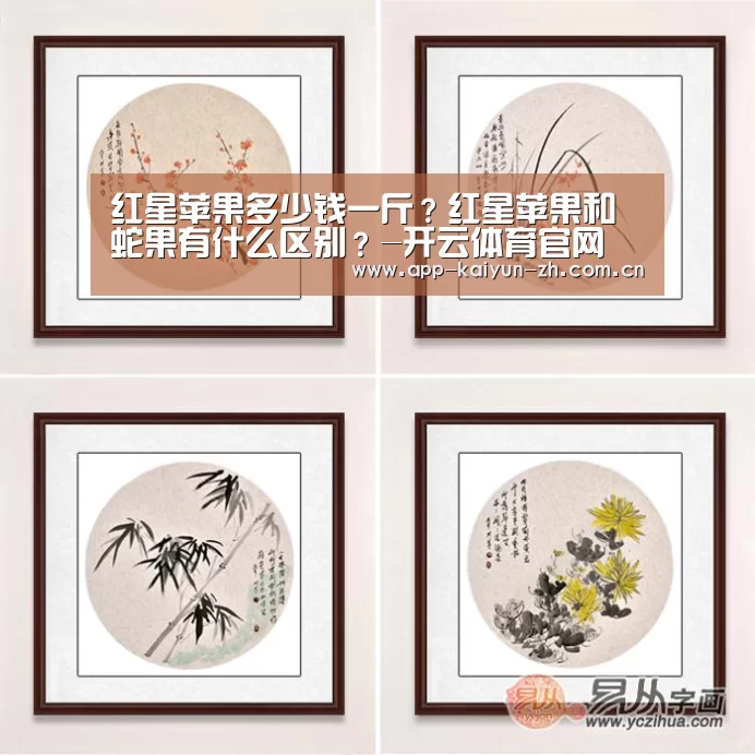 红星苹果多少钱一斤?红星苹果和蛇果有什么区别?-开云体育官网(图1) 开云体育官方