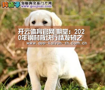 开云体育官网|期堂:2020年钢材板块行情发轫之始,预期远期合约巨大行情即将展开!(图2) 开云体育官方