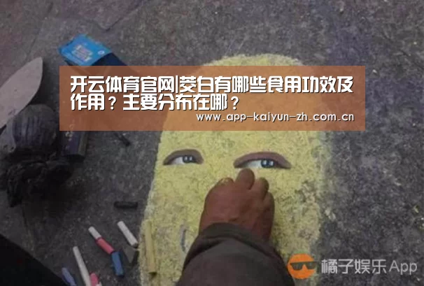 开云登录