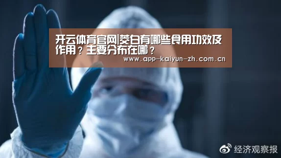 开云体育官方